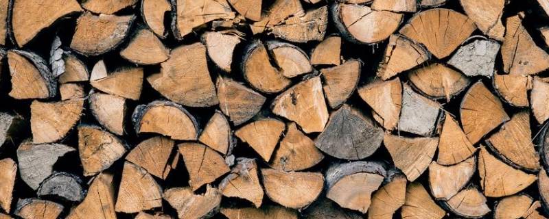 木头是绝缘体吗