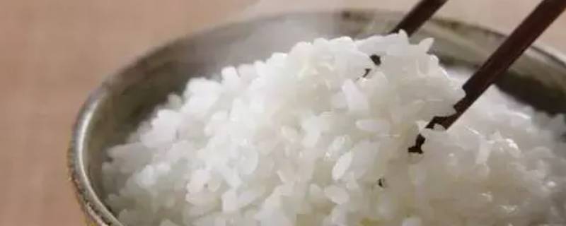 米饭要蒸多久