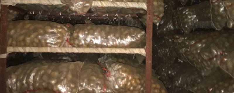 土豆保鲜库储存方法