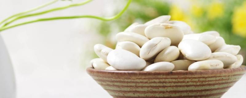 大白豆用冷水泡还是热水泡