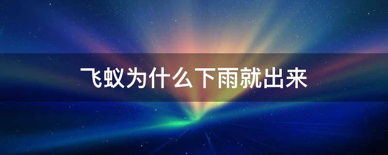 飞蚁为什么下雨就出来