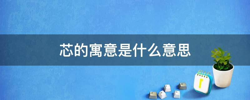 芯的寓意是什么意思