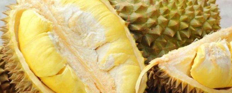 怎么判断榴莲是否坏了