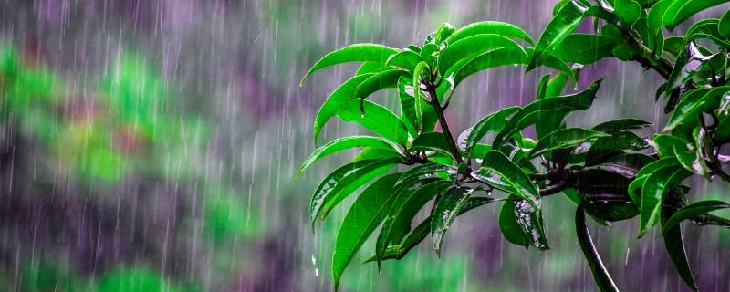 杭州梅雨季节是几月份到几月份结束
