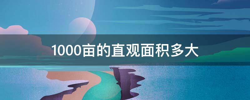 1000亩的直观面积多大