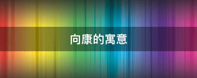 向康的寓意