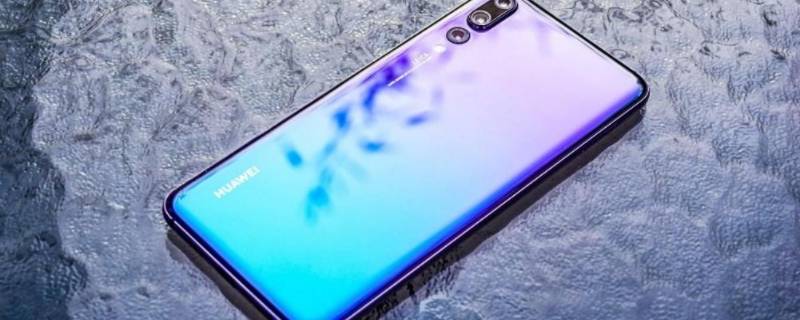 e网是什么意思啊