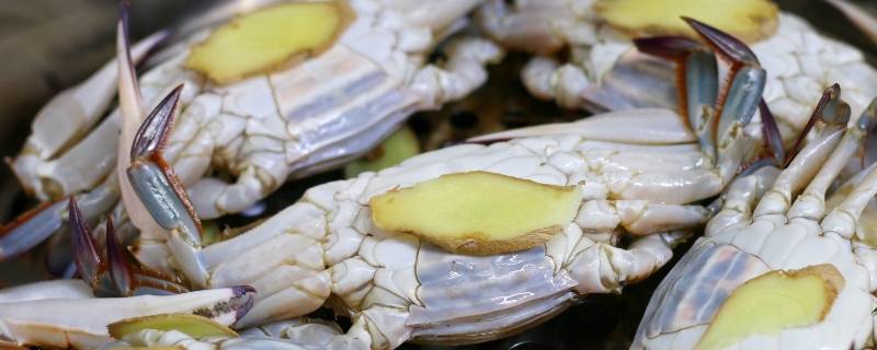 梭子蟹怎么蒸不掉腿