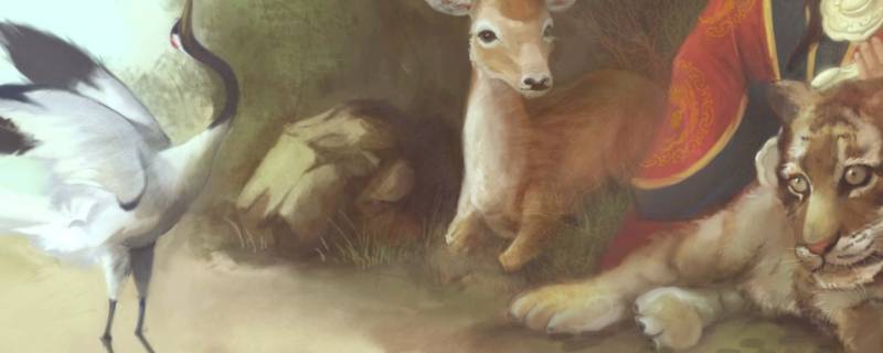 飞禽走兽有哪些