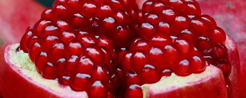 软籽石榴有籽吗