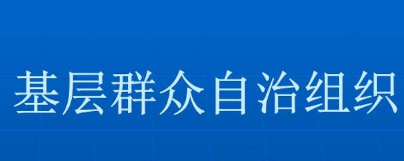 基层群众性自治组织的特征是什么
