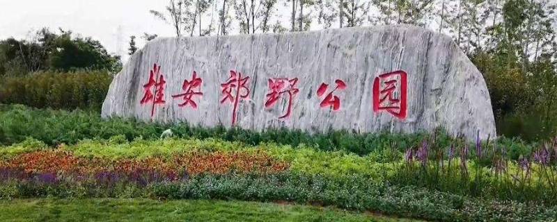 雄安郊野公园多大面积