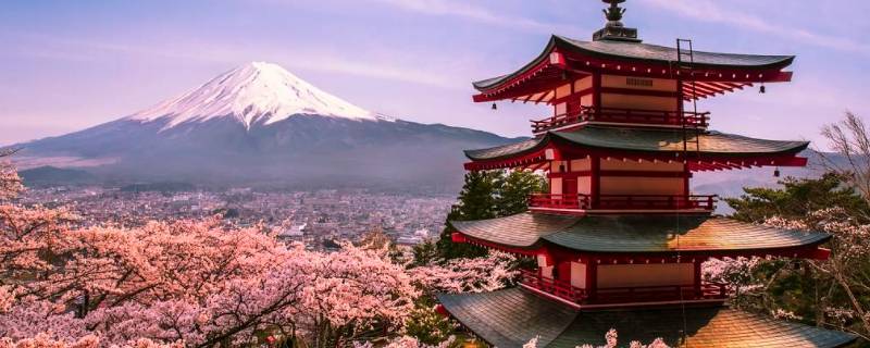 日本多大面积