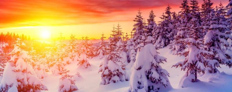 中国冬天美国是什么季节