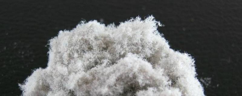 不属于内环境的成分有哪些