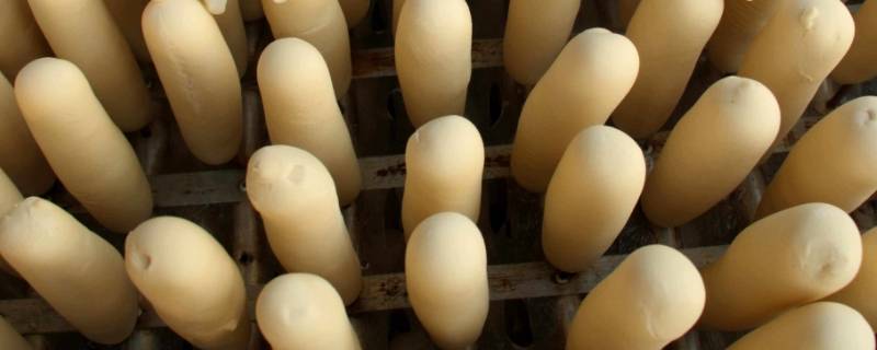 长长的馒头叫什么