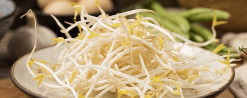 在家怎么养绿豆芽