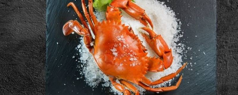 10月中旬吃公蟹还是母蟹