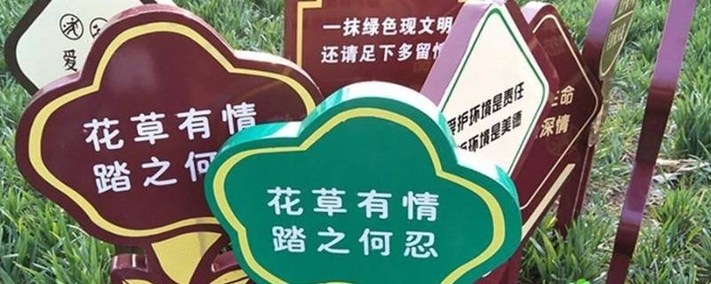爱护树木的宣传标语