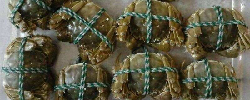 动车上可以带活螃蟹吗