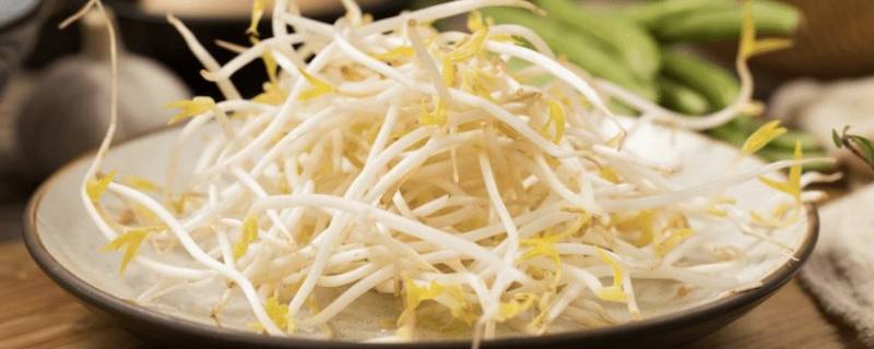 为什么豆芽会变紫色