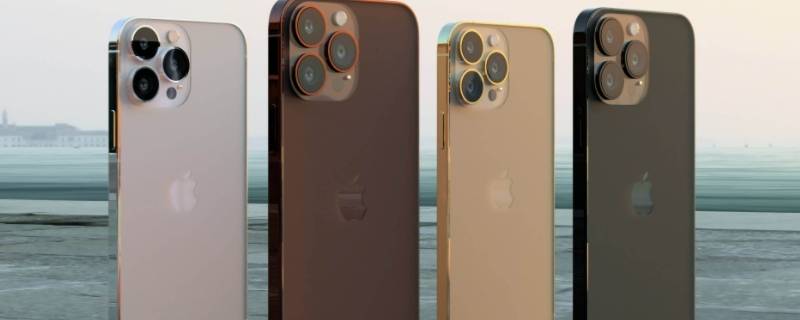 苹果买单不买双是什么意思