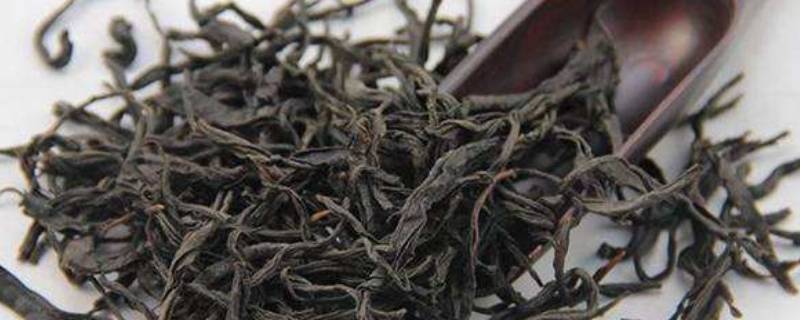 正山小种可以存放多久