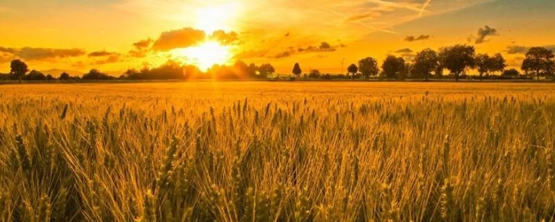 10月1日是秋天吗