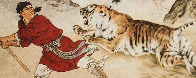 武松打的老虎是什么品种