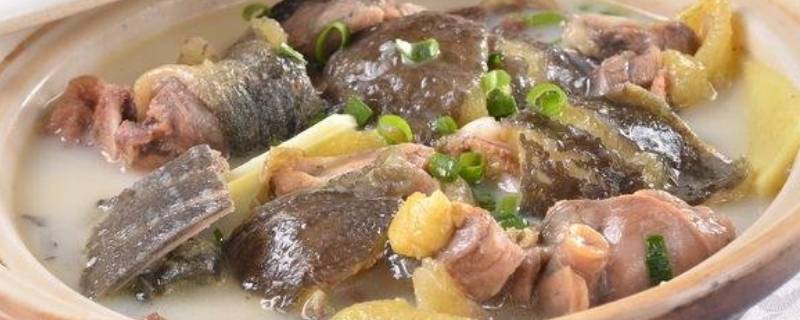 甲鱼炖什么
