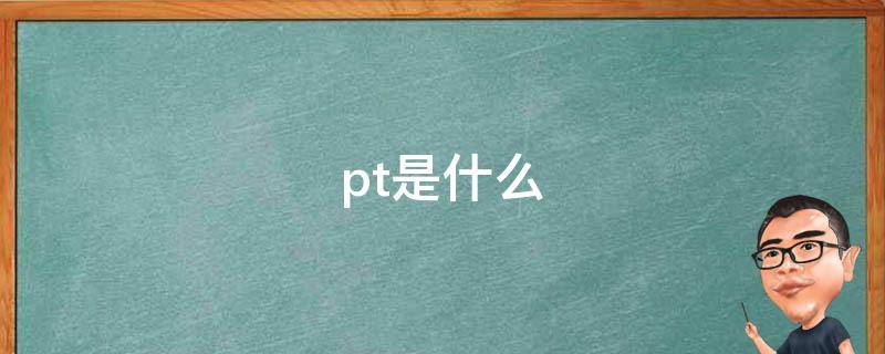 pt是什么