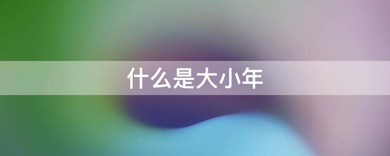 什么是大小年