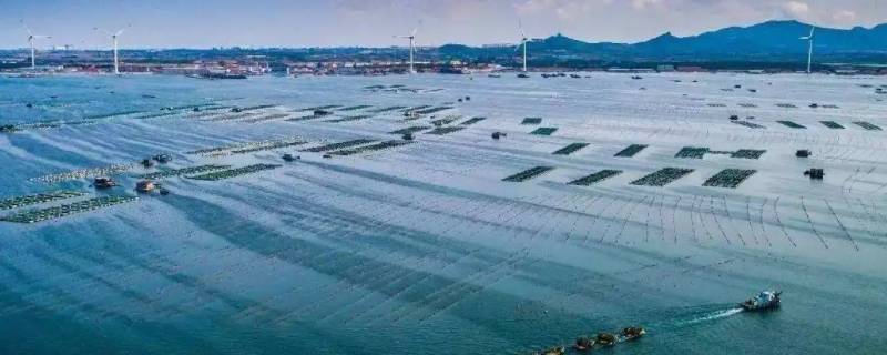 海洋牧场是什么意思