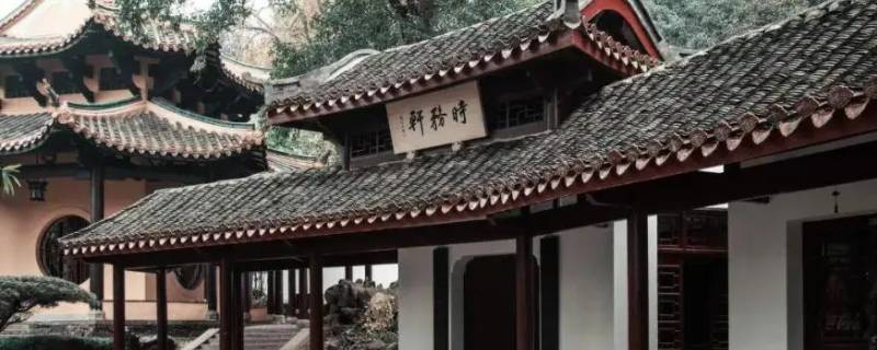 人文因素指的是什么