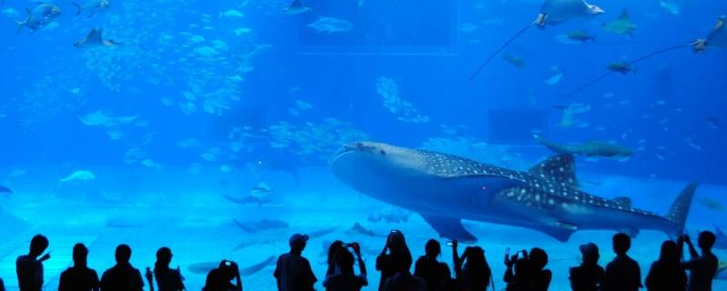 青岛水族馆建于哪一年