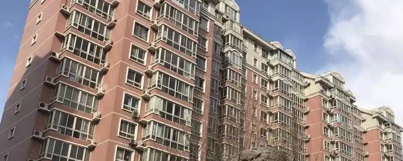 淞泽家园属于哪个街道