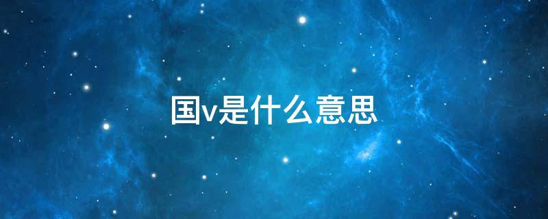 国v是什么意思