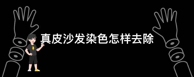 真皮沙发染色怎样去除