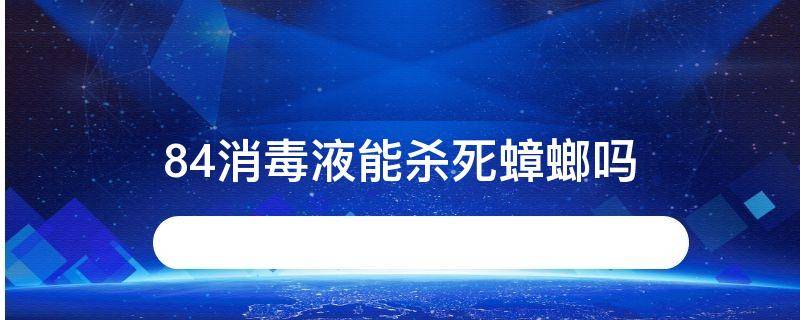 84消毒液能杀死蟑螂吗