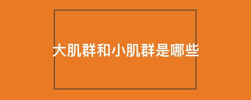 大肌群和小肌群是哪些