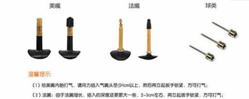法嘴和美嘴的区别