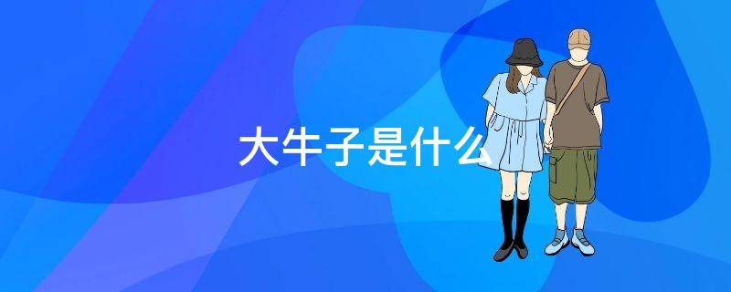 大牛子是什么