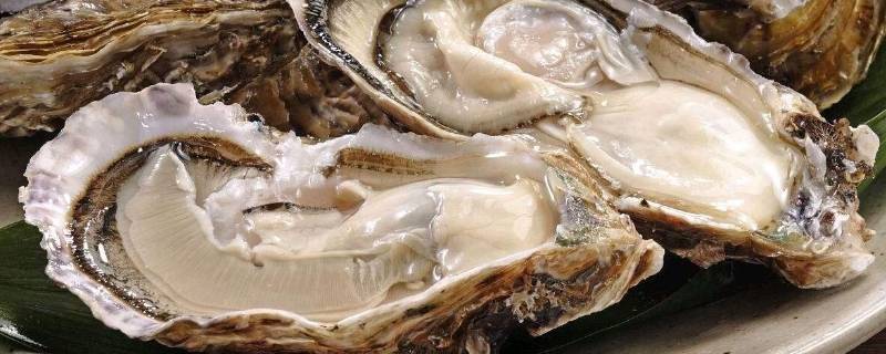 含砷高的食物有哪些