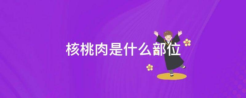 核桃肉是什么部位