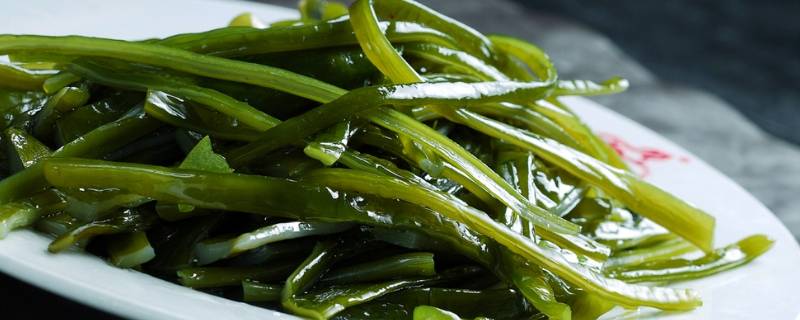 海蓬菜和碱蓬菜区别