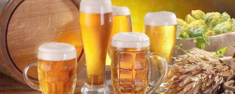 过期的啤酒可以干什么