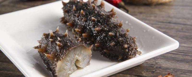 海参夏季是否可以吃