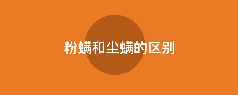 粉螨和尘螨的区别