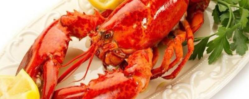 活龙虾能放冰箱冷藏吗