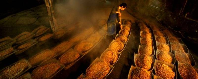 酿酒需要什么菌